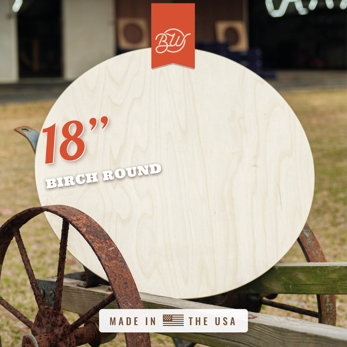 5-Pack 18 Inch Birch Wood Rounds 1/2