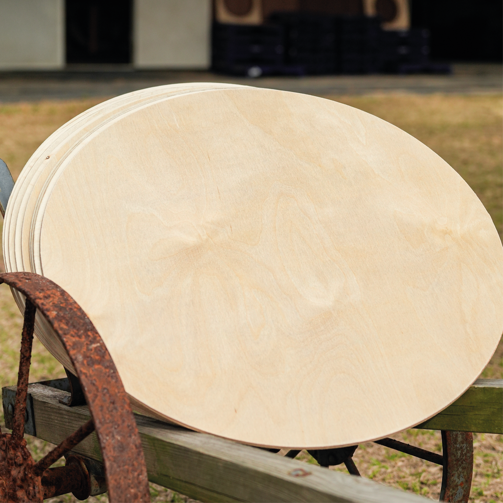 10-Pack 18 Inch Birch Wood Rounds 1/4