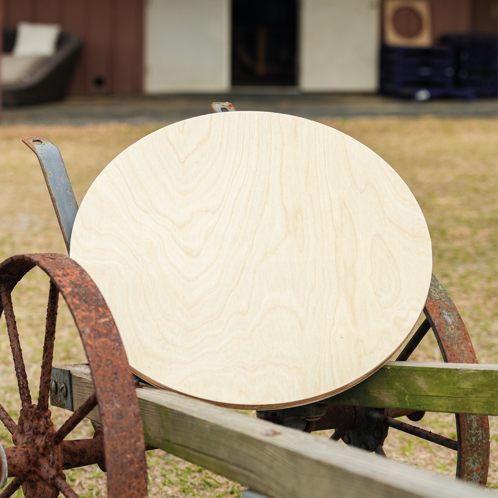 15 Inch Birch Wood Rounds 1/2